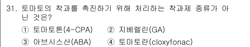농산물품질관리사_1차 2015년 31번 - 답이 '3'인 이유는 아브시스산(ABA)이 토마토의 작과를 촉진하는 데 ... 에 관한 핵심 기출문제