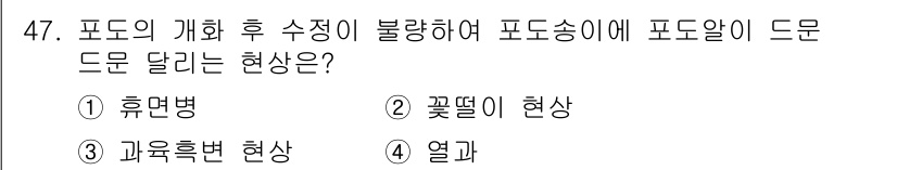 농산물품질관리사_1차 2015년 47번 - 정답은 '2'입니다. ‘꽃딸이 현상’은 포도의 개화 후 환경적 요인이나 ... 에 관한 핵심 기출문제