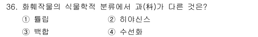 농산물품질관리사_1차 2016년 36번 - 정답 '4' 수선화는 식물 분류에서 다른 과에 속하는 반면, 튤립, 히야... 에 관한 핵심 기출문제