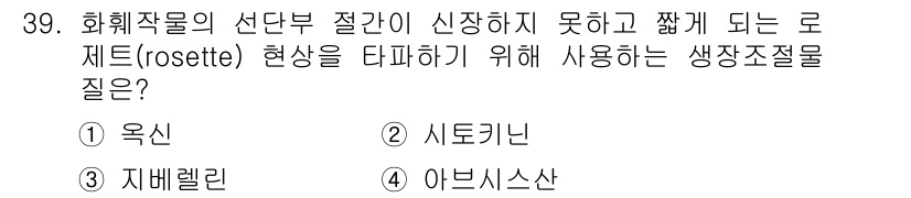 농산물품질관리사_1차 2016년 39번 - '로제트(rosette) 현상'은 식물의 생장 조절 방식 중 하나로, 특... 에 관한 핵심 기출문제