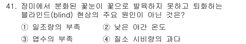 농산물품질관리사_1차 2016년 41번 - 정답 '4'는 질소 시비량의 과다는 블라인드 현상의 주요 원인이 아닙니다... 에 관한 핵심 기출문제