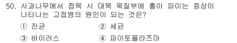 농산물품질관리사_1차 2016년 50번 - 사과나무에서 접목 시 대목 목질부에 붉은색 반점이 나타나는 증상은 주로 ... 에 관한 핵심 기출문제