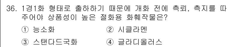 농산물품질관리사_1차 2017년 36번 - 정답 '3'번 스탠다드국화는 1경 1화의 형태로 출하기 때문에 개화 전에... 에 관한 핵심 기출문제
