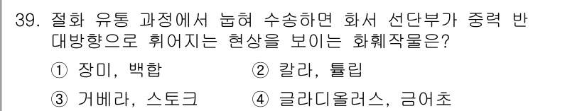 농산물품질관리사_1차 2017년 39번 - 정답 '4'인 이유는 글라디올러스와 금어초가 화훼작물 중에서 다양한 방향... 에 관한 핵심 기출문제