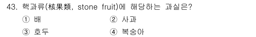 농산물품질관리사_1차 2017년 43번 - '핵과류'는 씨가 크고 단단한 과일을 의미합니다. 주어진 선택지 중에서 ... 에 관한 핵심 기출문제