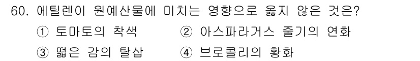 농산물품질관리사_1차 2017년 60번 - 에틸렌은 식물의 성숙과 발달에 큰 영향을 미치는 호르몬입니다. 그러나 아... 에 관한 핵심 기출문제