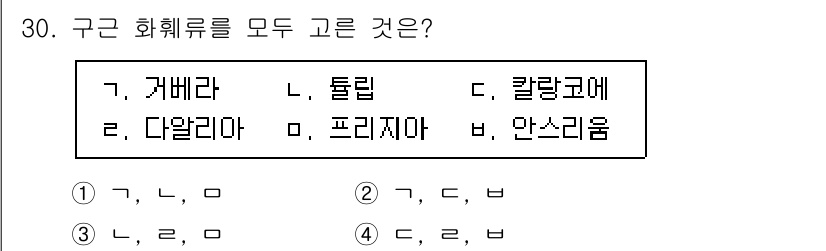 농산물품질관리사_1차 2018년 30번 - 구근 화훼류는 주로 뿌리 부분을 관상용으로 사용하는 식물입니다. '어베라... 에 관한 핵심 기출문제