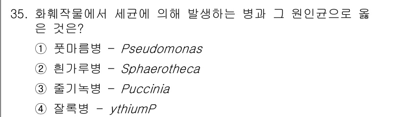 농산물품질관리사_1차 2018년 35번 - 정답 '1'은 화훼작물에서 세균에 의해 발생하는 병의 원인균인 Pseud... 에 관한 핵심 기출문제
