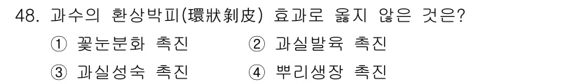 농산물품질관리사_1차 2018년 48번 - '과수의 환상박피'는 주로 잎과 줄기의 생리적 작용에 영향을 미치며, 이... 에 관한 핵심 기출문제