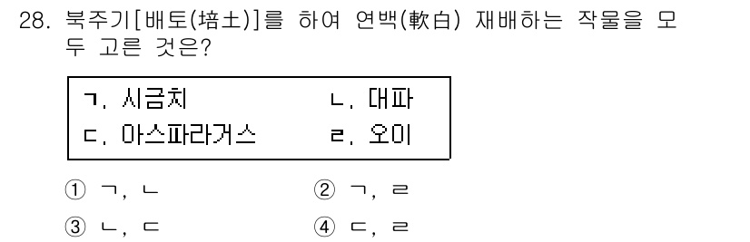 농산물품질관리사_1차 2019년 28번 - 연백 재배에서 중요한 작물은 '시금치'와 '대파'입니다. 시금치는 연백 ... 에 관한 핵심 기출문제