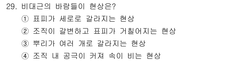 농산물품질관리사_1차 2019년 29번 - 비대근의 바람들이 현상은 4번 '조직 내 공극이 커져 속이 비는 현상'입... 에 관한 핵심 기출문제