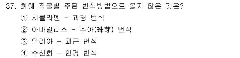 농산물품질관리사_1차 2019년 37번 - 정답인 '2'는 아말릴리스에 해당하는 변식 방법이 주아(珠芽) 변식으로,... 에 관한 핵심 기출문제