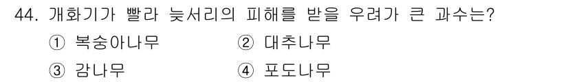 농산물품질관리사_1차 2019년 44번 - 개화기가 빨라 늦서리를 피해를 받기 쉬운 과수는 복숭아나무입니다. 복숭아... 에 관한 핵심 기출문제