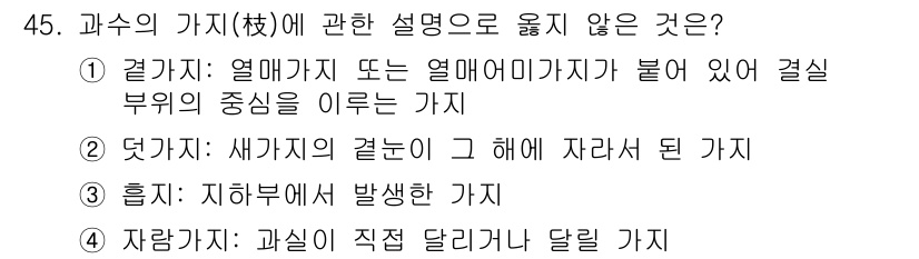 농산물품질관리사_1차 2019년 45번 - 정답이 '4'인 이유는 '자량가지'의 정의가 과실의 수학적 측정을 설명하... 에 관한 핵심 기출문제