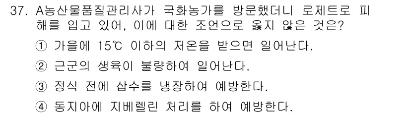 농산물품질관리사_1차 2020년 37번 - 정답은 '2'입니다. 근곤의 생육이 불량하다는 표현은 로제트 형태의 식물... 에 관한 핵심 기출문제