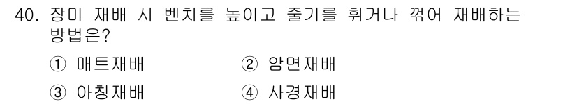 농산물품질관리사_1차 2020년 40번 - 장미 재배 시 벤치 높이를 높이고 줄기를 휘거나 꺾어 재배하는 방법은 '... 에 관한 핵심 기출문제