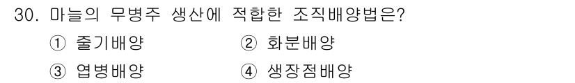 농산물품질관리사_1차 2021년 30번 - 문제에서 요구하는 '마늘의 무병주 생산에 적합한 조직배양법'은 생장점배양... 에 관한 핵심 기출문제