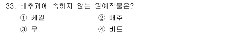 농산물품질관리사_1차 2021년 33번 - 배추과에 속하지 않는 원예작물은 '비트'입니다. 배추과는 주로 청경채, ... 에 관한 핵심 기출문제
