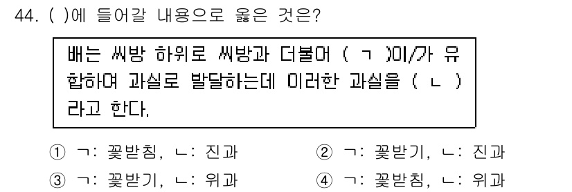 농산물품질관리사_1차 2021년 44번 - 주어진 문장에서 '배는 씨앗 하위로 씨앗과 더불어 ( )가 유합하여 과실... 에 관한 핵심 기출문제