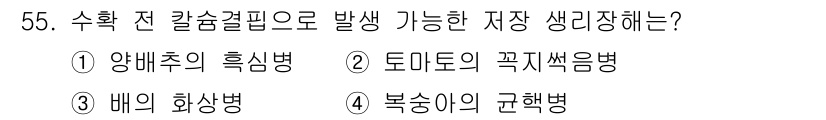 농산물품질관리사_1차 2021년 55번 - 선택지 1은 양배추의 흉심병으로, 수확 전 칼슘 결핍으로 인해 발생하는 ... 에 관한 핵심 기출문제