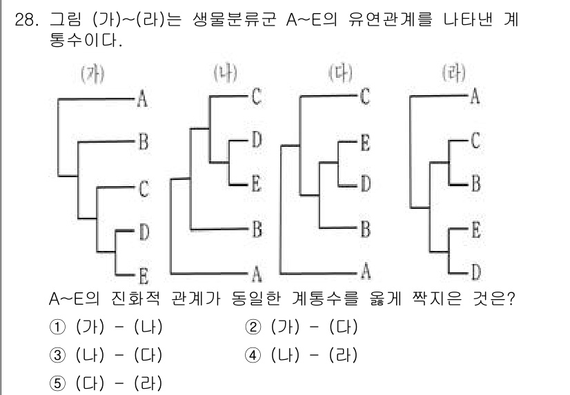 변리사_1차(3교시) 2021년 28번 - 주어진 도해에서 A~E의 진화적 관계를 분석하면, (가)와 (나)가 동일... 에 관한 핵심 기출문제