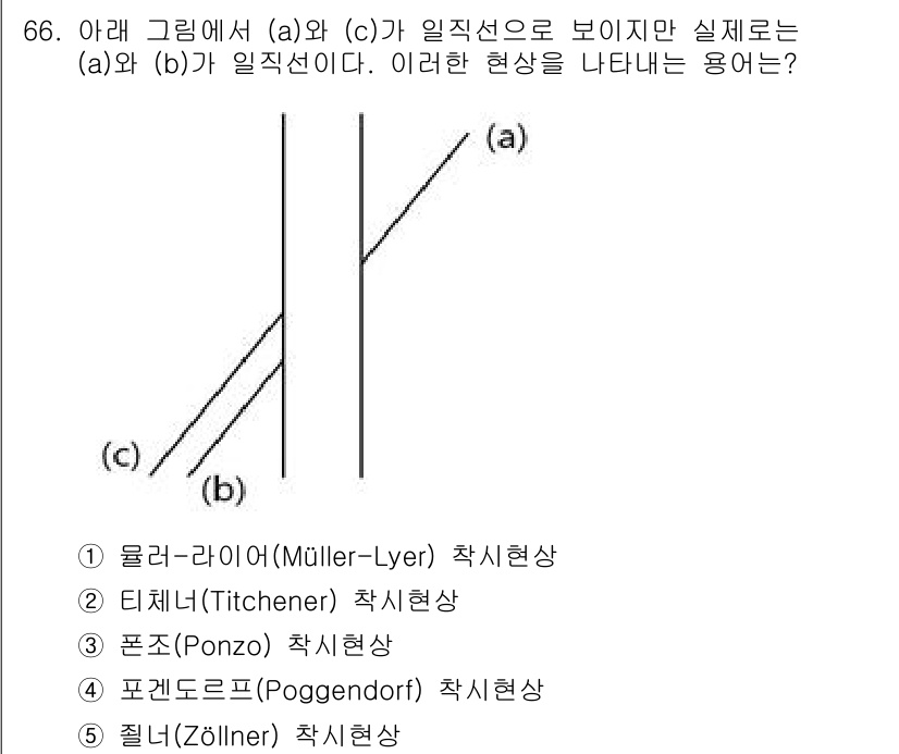 산업보건지도사 2021년 66번 - 주어진 그림에서 (a)와 (c)는 직선으로 보이나 사실 (a)와 (b)가... 에 관한 핵심 기출문제