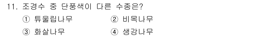 9급_국가직_공무원_조경학 2021년 13번 - '생강나무'는 다른 세 종류(튤립나무, 비목나무, 화살나무)와 비교해 구... 에 관한 핵심 기출문제
