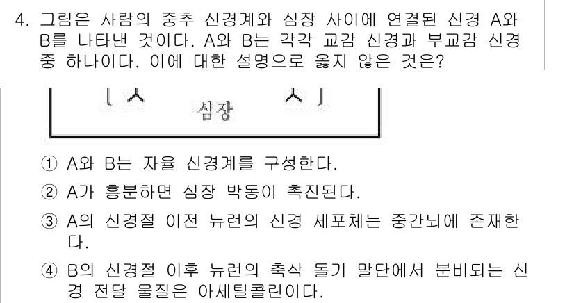 9급_국가직_공무원_과학 2021년 4번 - 정답 '3'은 A의 신경절 이전 뉴런의 신경 세포체가 중간뇌에 존재한다는... 에 관한 핵심 기출문제