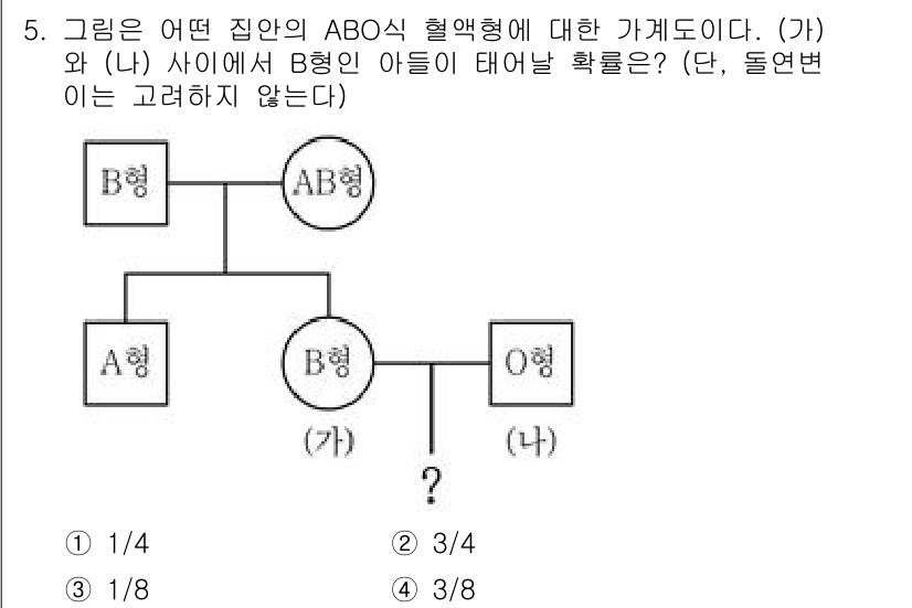 9급_국가직_공무원_과학 2021년 5번 - (가)와 (나)가 각기 B형 혈액형을 가진다면, 유전적으로 가능한 자식의... 에 관한 핵심 기출문제
