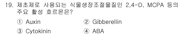 9급_국가직_공무원_식용작물 2021년 19번 - 해당 문제의 정답은 '1'인 Auxin입니다. 2,4-D와 MCPA는 식... 에 관한 핵심 기출문제