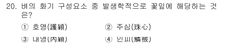 9급_국가직_공무원_식용작물 2021년 20번 - 식물의 화기 구성 요소 중 발생학적으로 꽃잎에 해당하는 것은 '인피(鳞片... 에 관한 핵심 기출문제