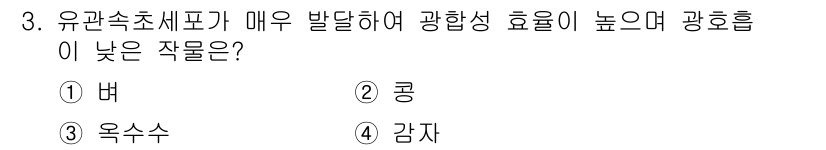 9급_국가직_공무원_식용작물 2021년 3번 - 광합성 효율이 높은 작물은 유관속 초세포가 발달하여 햇빛을 잘 이용할 수... 에 관한 핵심 기출문제