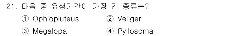 해양환경기사 2021년 21번 - 정답은 '4'인 Pyllosoma입니다. Pyllosoma는 해양 갑각류... 에 관한 핵심 기출문제
