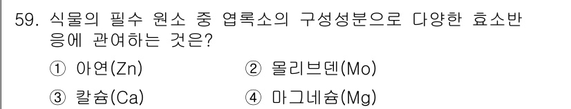 손해평가사 2021년 59번 - 식물에 필수적인 원소들 중에서 '마그네슘(Mg)'은 클로로필의 주요 성분... 에 관한 핵심 기출문제