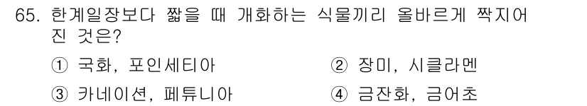 손해평가사 2021년 65번 - 국화와 포인세티아는 한계일장이 짧을 때 주로 개화하는 식물입니다. 이들 ... 에 관한 핵심 기출문제