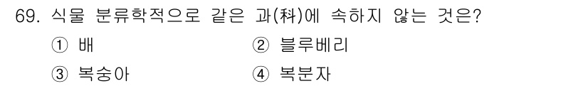 손해평가사 2021년 69번 - 정답은 '2' 블루베리입니다. 배, 복숭아, 복분자 모두 장미과에 속하지... 에 관한 핵심 기출문제