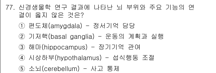 청소년상담사_2급(1교시)(구) 2020년 77번 - 해답인 '5' 소뇌(cerebellum)는 주로 운동 조정과 균형을 담당... 에 관한 핵심 기출문제
