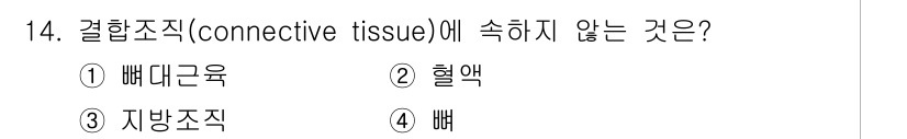 9급_지방직_공무원_서울시_생물 2021년 14번 - 결합조직(connective tissue)은 조직의 종류 중 하나로, 주... 에 관한 핵심 기출문제