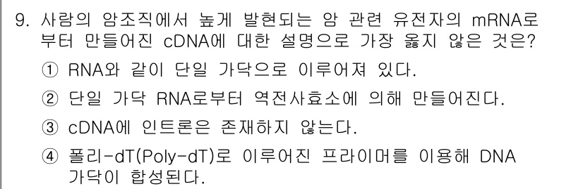 9급_지방직_공무원_서울시_생물 2021년 9번 - 정답이 '1'인 이유는 RNA와 단일 가닥은 서로 다른 구조를 가지기 때... 에 관한 핵심 기출문제