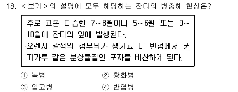 9급_지방직_공무원_서울시_조경학 2021년 18번 - 이 문제에서 주어진 설명은 잔디의 병충해 현상을 묘사하고 있습니다. 특히... 에 관한 핵심 기출문제