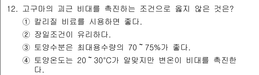 9급_지방직_공무원_식용작물 2021년 12번 - 고구마의 비대를 촉진하는 최적 조건은 적정 수분과 온도, 장일 조건을 유... 에 관한 핵심 기출문제