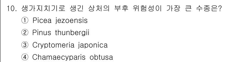 9급_지방직_공무원_조림 2021년 10번 - 정답 '1'인 Picea jezoensis는 생가치치기에서 상처에 대한 ... 에 관한 핵심 기출문제