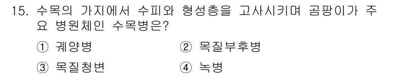 9급_지방직_공무원_조림 2021년 15번 - 수목의 가지에서 수피와 형성층이 주요 병원체인 수목병은 '괭이밥병'입니다... 에 관한 핵심 기출문제