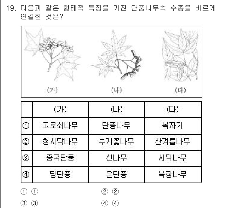 9급_지방직_공무원_조림 2021년 19번 - 주어진 식물들의 특징을 살펴보면, (가)와 (나)는 모두 단풍나무속에 속... 에 관한 핵심 기출문제