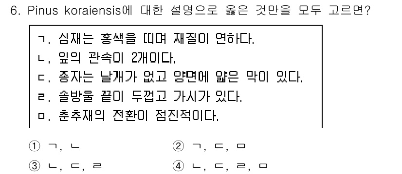 9급_지방직_공무원_조림 2021년 6번 - Pinus koraiensis는 한국의 소나무로, 이에 대한 정확한 설명... 에 관한 핵심 기출문제