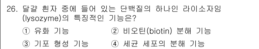 식품안전기사 2021년 26번 - 리소자임(lysozyme)은 주로 세균의 세포벽을 분해하여 항균 작용을 ... 에 관한 핵심 기출문제
