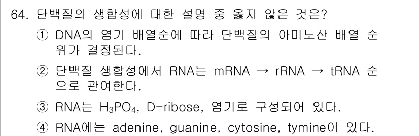 식품안전기사 2021년 65번 - 단백질 합성에서 RNA는 mRNA, rRNA, tRNA의 과정으로 전환되... 에 관한 핵심 기출문제