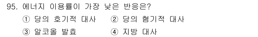 식품안전기사 2021년 96번 - . 알코올 발효

알코올 발효는 에너지를 생성하는 과정 중 가장 낮은 에... 에 관한 핵심 기출문제
