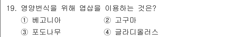 유기농업기사 2021년 19번 - . 배고니아  
배고니아는 영양분이 풍부한 작물로, 유기농업에서 영양 보... 에 관한 핵심 기출문제