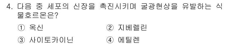 유기농업기사 2021년 4번 - . 옥신  
옥신은 식물의 성장과 발달에 중요한 호르몬으로, 세포 신장을... 에 관한 핵심 기출문제
